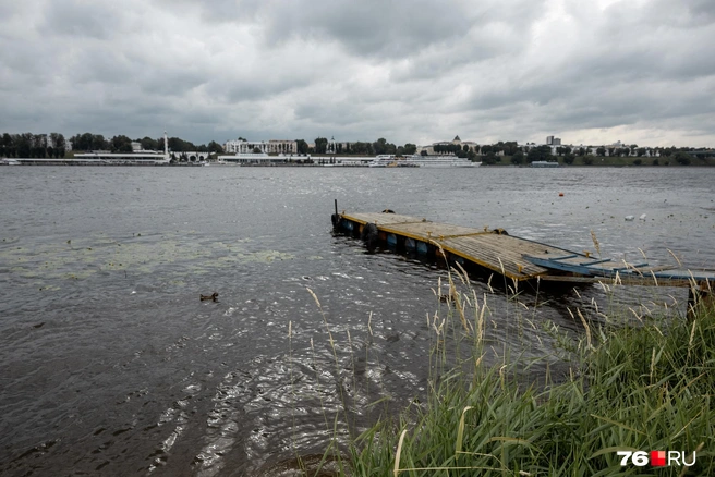 «Водолаз — он не плавает, он ходит по грунту, ползает по дну». Как на самом деле ищут утонувших — рассказ профессионала