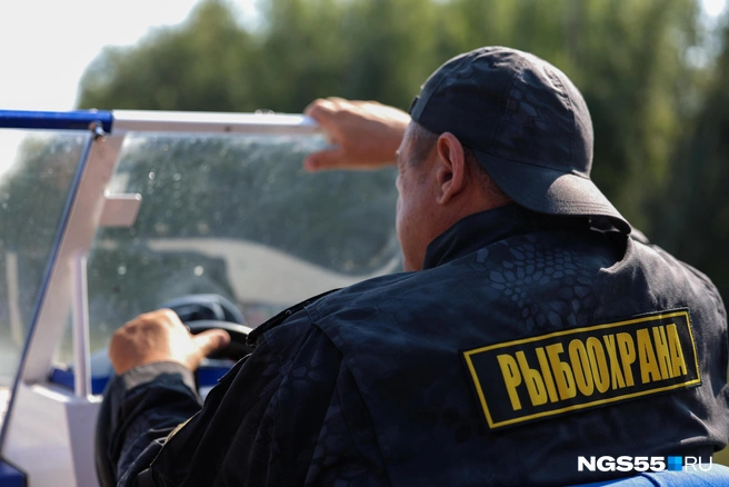 За каждую стерлядь — 4500 рублей штрафа. Как журналисты ловили браконьеров в рыбоохране